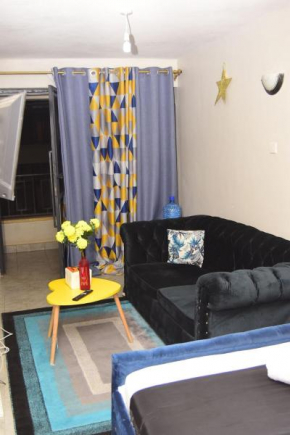 Studio next to JKIAirport &SGR